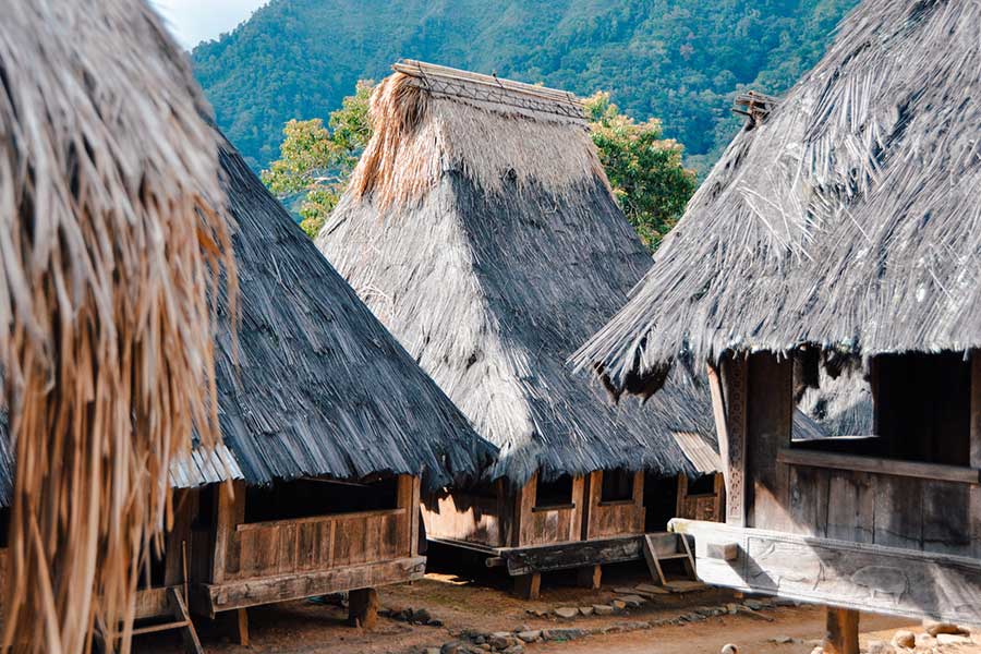moni-village