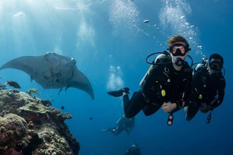 padi-diving-school